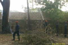 Feu de brousse